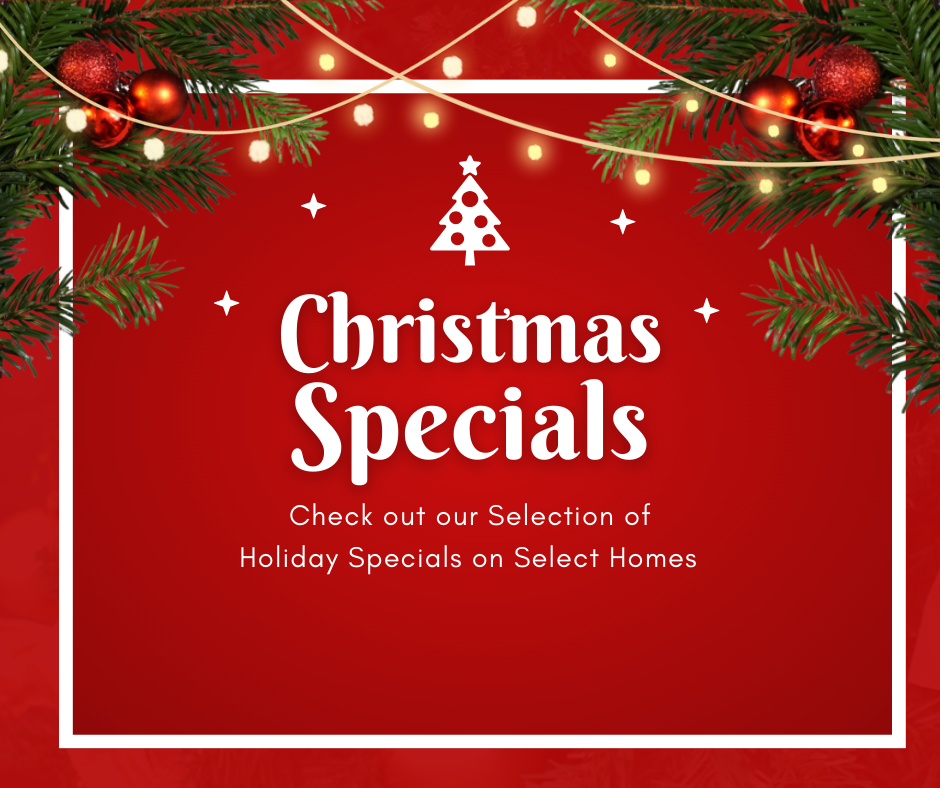 christmas special asset